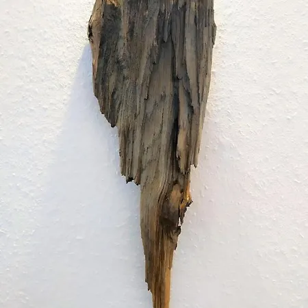 Pension Koethen Casa de hóspedes Koethen (Anhalt)